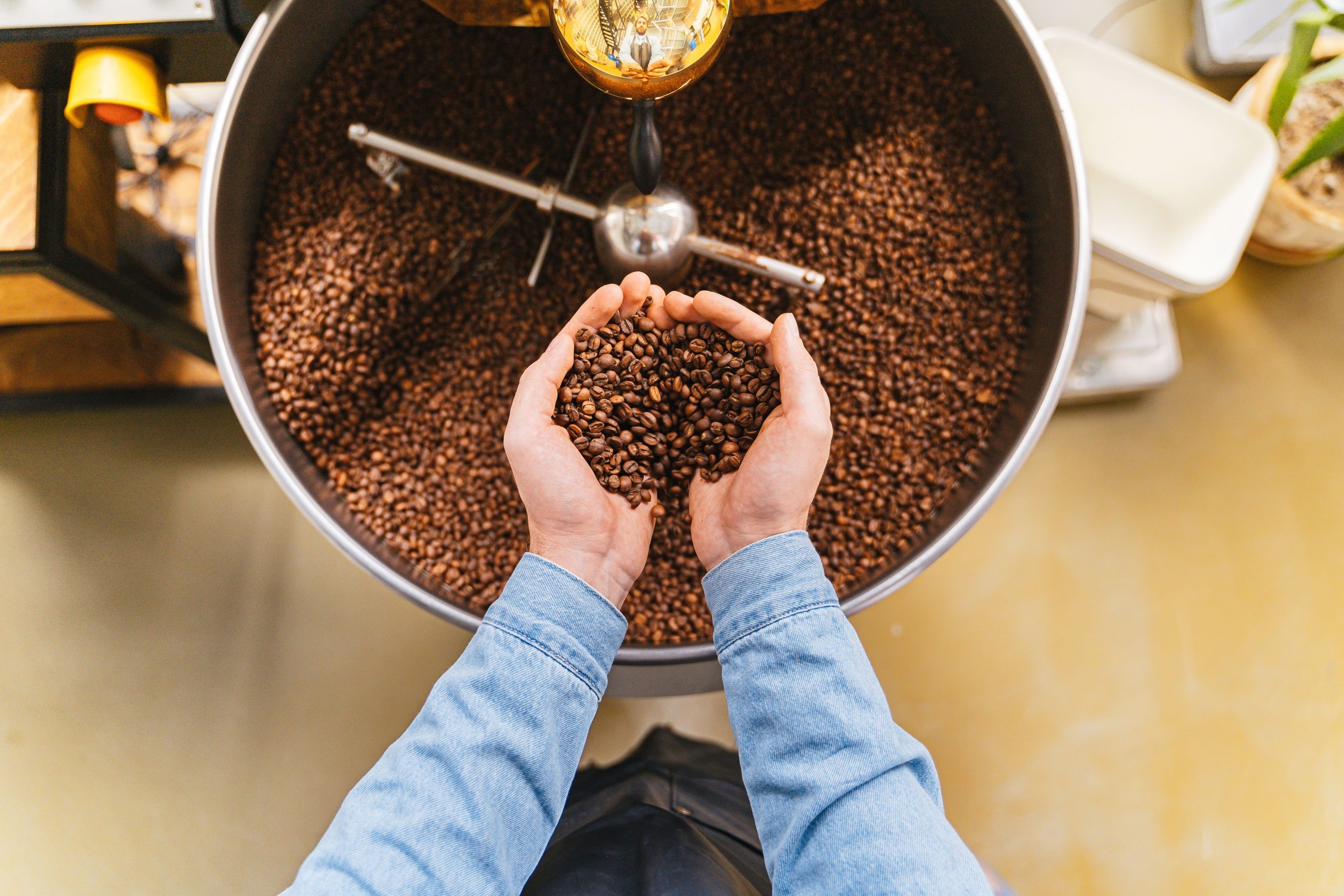 does dark roast have less caffeine