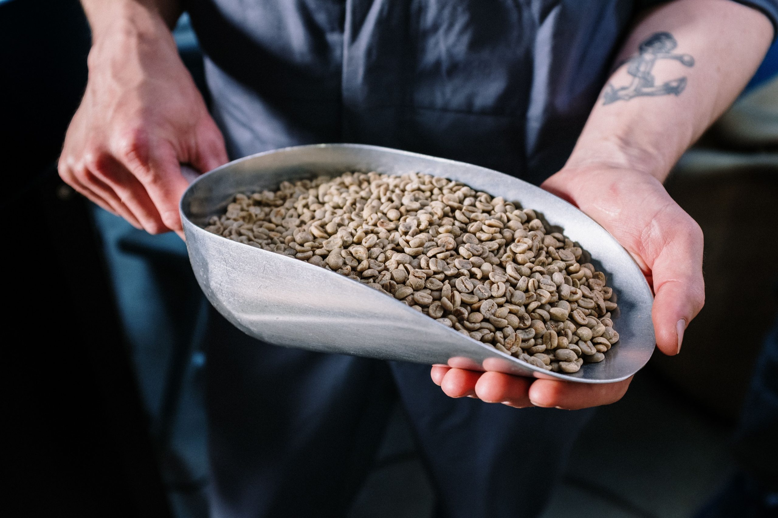 fresh whole coffee beans